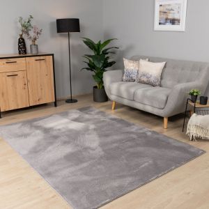 Paco Home - Tapis Salon Chambre Adulte Poils Ras Lavable En Machine Uni Moelleux 160x220 cm, Gris