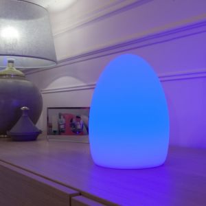 Lumisky Oeuf lumineux multicolore rechargeable EASY C | Hauteur 23cm