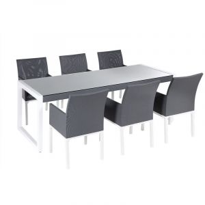 Beliani Ensemble de jardin en aluminium gris table et 6 chaises BACOLI