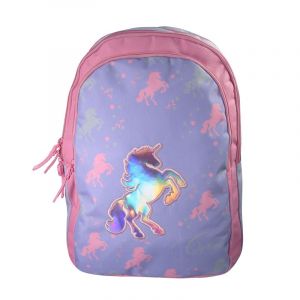 Sac à dos cybel marine 2 compartiments bagtrotter primaire