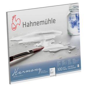 Hahnemühle Papier Harmony Watercolour, 30 cm x 40 cm, 300 g/m², Bloc collé 4 côtés, 2. Grain torchon