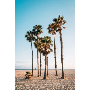Ceanothe Tableau sur toile palm trees 30x45 cm - Impression sur Toile Murale Décorative - Image imprimée en hd sur Toile - Toile sur Châssis en