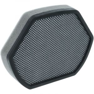 Vhbw Filtre remplacement pour Siemens BD-00579275, 00579275 filtre pour aspirateur - Filtre en mousse noir / gris