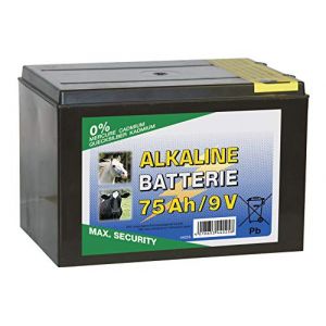 Pile sèche Alcaline, 9 v, 75 Ah, petit boîtier - Corral