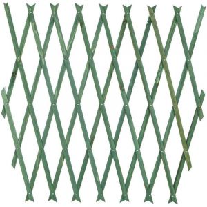 Trade Shop Traesio - Treillis Vert Extensible En Bois Pour Jardin Plantes Murales 300x100