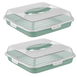 Lot de 2 - Transport pour Gâteaux et Pâtisseries - Plateau à Pâtisseries Rectangulaire - Sans BPA,Pique-niques et Fêtes (Vert)