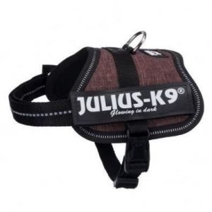 Image de Julius K9 Harnais Power Baby 2-XS-S : 33-45 cm - 18 mm - Moka - Pour chien