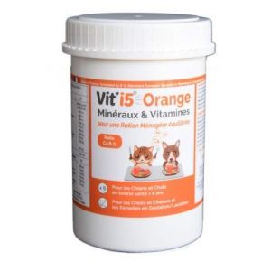 Vit'i5 Orange Pot DE 250G