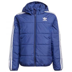 Image de Adidas Doudoune courte à capuche matelassée Bleu Originals