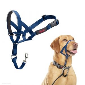 Halti Licol - pour Que Votre Chien arr&ecirc;te de Tirer sur sa Laisse, Partie enti&egrave;rement matelass&eacute;e sur Le museau, Colliers Anti-Traction pour Chiens de Taille Moyenne (Taille 3, Bleu Cobalt)