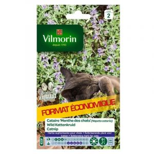 Vilmorin Cataire Menthe Chats Gm Vl 2