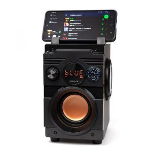 Frisquet SQUEAK SQUEAKEnceinte Bluetooth Portable SQ1001 Black 20W