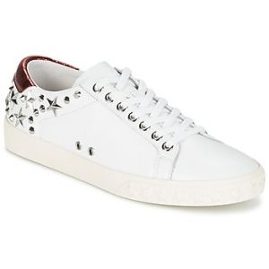 Image de Ash Baskets basses DAZED blanc - Taille 38,39,40,41