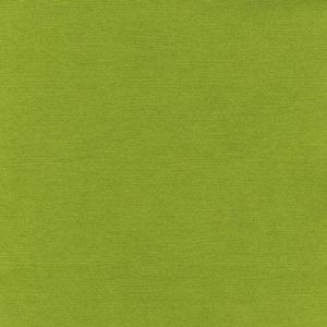 Bazzill basics paper Papier Bazzill Toile 30,5 x 30,5 cm - 216 g/m² Vert Hillary