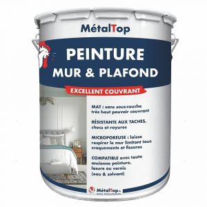 Peinture Mur Et Plafond - Rouge pourpre - RAL 3004 - Pot 1L