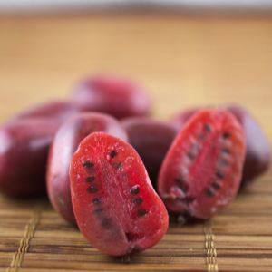 Image de Kiwi de Sibérie arguta Purpurea (Femelle)/Pot de 1,5L