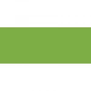 Royal Talens Encre de couleur Ecoline de, 30 ml avec pipette, Vert bronze