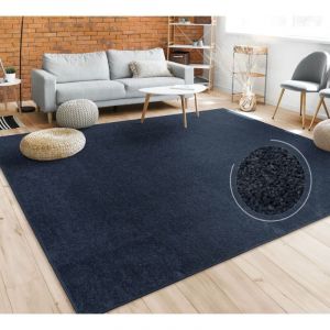 Paco Home Tapis Salon Uni Sobre Et Moderne Poils Ras, Diff. Tailles/Coloris 240x340 cm, Bleu Marine