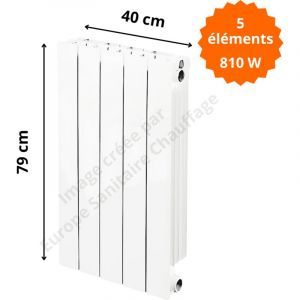 Global Radiatori - Radiateur aluminium vertical H.79 x 40 cm vip 700 Deville 810 w