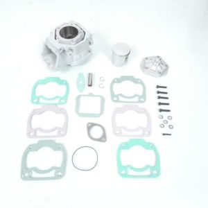 Kit moteur Rotax 122/123 Aprilia125