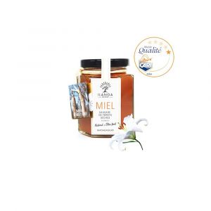 Ilanga-nature - Miel de For&ecirc;ts S&egrave;ches de Madagascar 140g