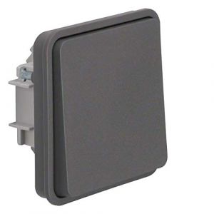 Berker BOUTON-POUSSOIR AVEC MANETTE 50453515 4011334390312 W.1 BOUTON-POUSSOIR CONTACT À FERMETURE CLAIR