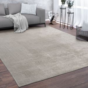 Image de Paco Home - Tapis De Salon Poils Ras Lavable Monochrome Style Moderne Argent 80 cm rond