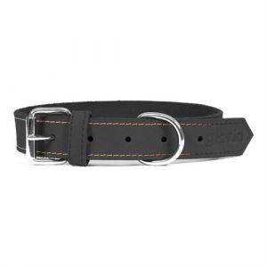 Collier pour Chien Gloria Oasis 50 2 1 cm Noir