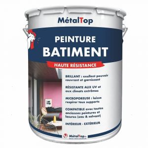Peinture Batiment - Bleu pastel - RAL 5024 - Pot 5L