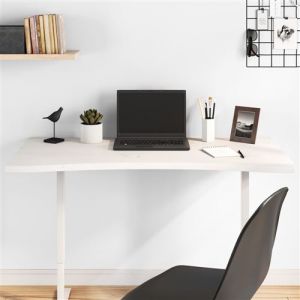 VidaXL Dessus de Bureau, Plateau de Table d'Étude, Dessus de Table de Remplacement Intérieur, Blanc 100x50x2,5 cm Bois Massif de Pin