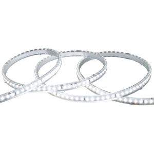 Ruban Led 220v Smd2835 120led/M Blanc Froid Ip65 Largeur 12mm Coupe Tous Les 100cm 6000k 10 M 10 M