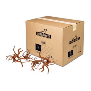 Reptiles Planet D&eacute;coration d'aquarium racine araign&eacute;e S