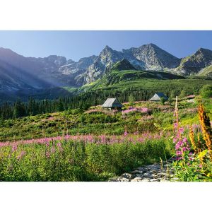 Puzzle 1000 pièces : G&#261;sienicowa hall dans les Tatras