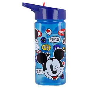 Stor Gourde Mickey 530 ml