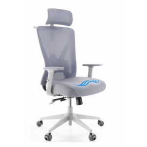 Backerz Ergonomic Office Chair - Chaises de bureau pour adultes - Enti&egrave;rement r&eacute;glable, certifi&eacute; NEN-EN1335 jusqu'&agrave; 150kg - Chaise de bureau - Chaise de jeu - Motion Mesh, blanc