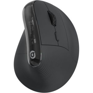 EssentielB Souris sans fil Ergo Sans fil