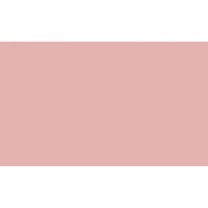 Caran d'Ache Crayon Luminance 6901 de C Sienne brûlée 10%