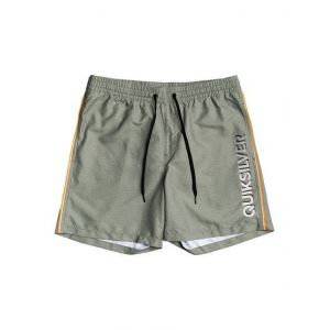 Image de Quiksilver Vert 14" - Short de bain pour Garçon 8-16 ans - Vert