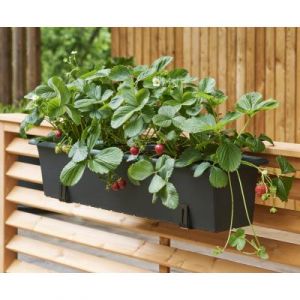 Console Extra Robuste 1 Paire, Noir Orthex 2972090