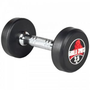 Image de Gorilla Sports Dumbbell 2,5 kg - Haltère poids