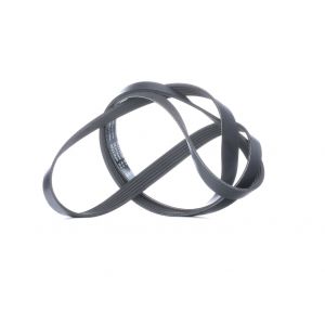 Ina Courroie Trapézoïdale à Nervures FB 6PK1735 VW,AUDI,BMW,GOLF V 1K1,POLO 9N_,TOURAN 1T1, 1T2,GOLF VI 5K1,POLO 6R, 6C,TIGUAN 5N_,PASSAT 3C2