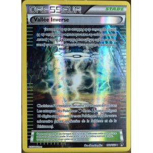 Asmodée Vallée Inverse - Carte Pokémon 110/122 Reverse Xy Rupture turbo