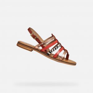 Geox D Maddalusiac - 36