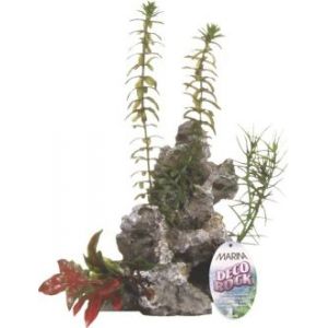 Image de Marina Pierre pour aquarium 11 cm