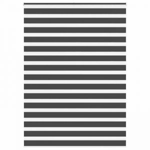 VidaXL Store zèbre noir 155x230 cm largeur du tissu 150,9 cm polyester, store à enrouleur zébré, store zébré pour fenêtre, 4014298