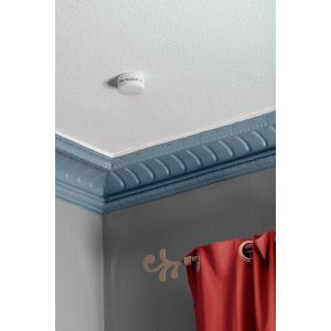 Siemens Lot de 10 détecteurs de fumée NF avec supports magnétiques, Autonomie et Garantie 10 ans