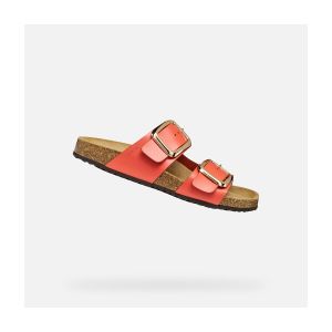 Geox Brionia R Woman - 36