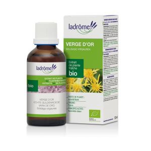 Image de Ladr&ocirc;me Extrait de plantes fra&icirc;ches : Verge d'Or - 50 ml
