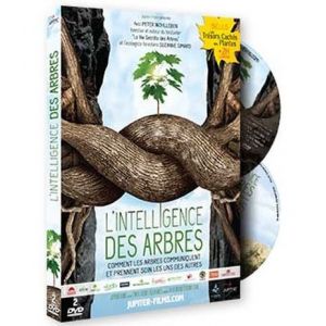 Image de L'INTELLIGENCE DES ARBRES [DVD]