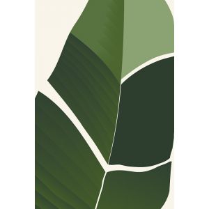 Ceanothe Toile 45x65 feuille palmier